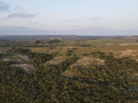 Campo en Lavalleja 395ha — foto 4
