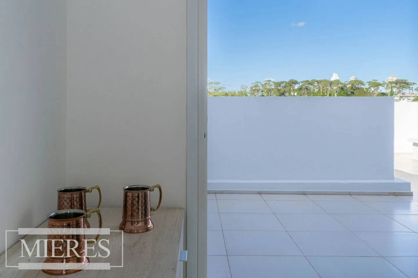 Pent-house primera linea Playa Mansa - Punta del Este — foto 26
