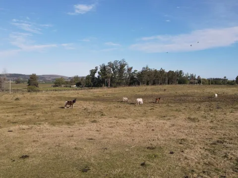 Chacra de 6ha en Punta Ballena — foto 5