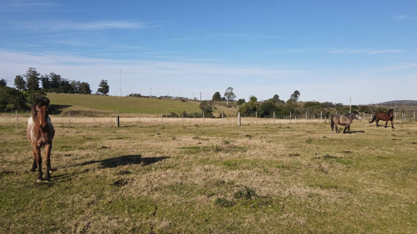 Chacra de 6ha en Punta Ballena — foto 6