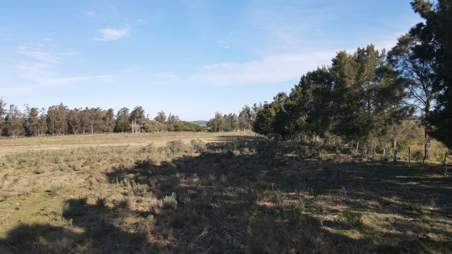 Chacra de 6ha en Punta Ballena — foto 9
