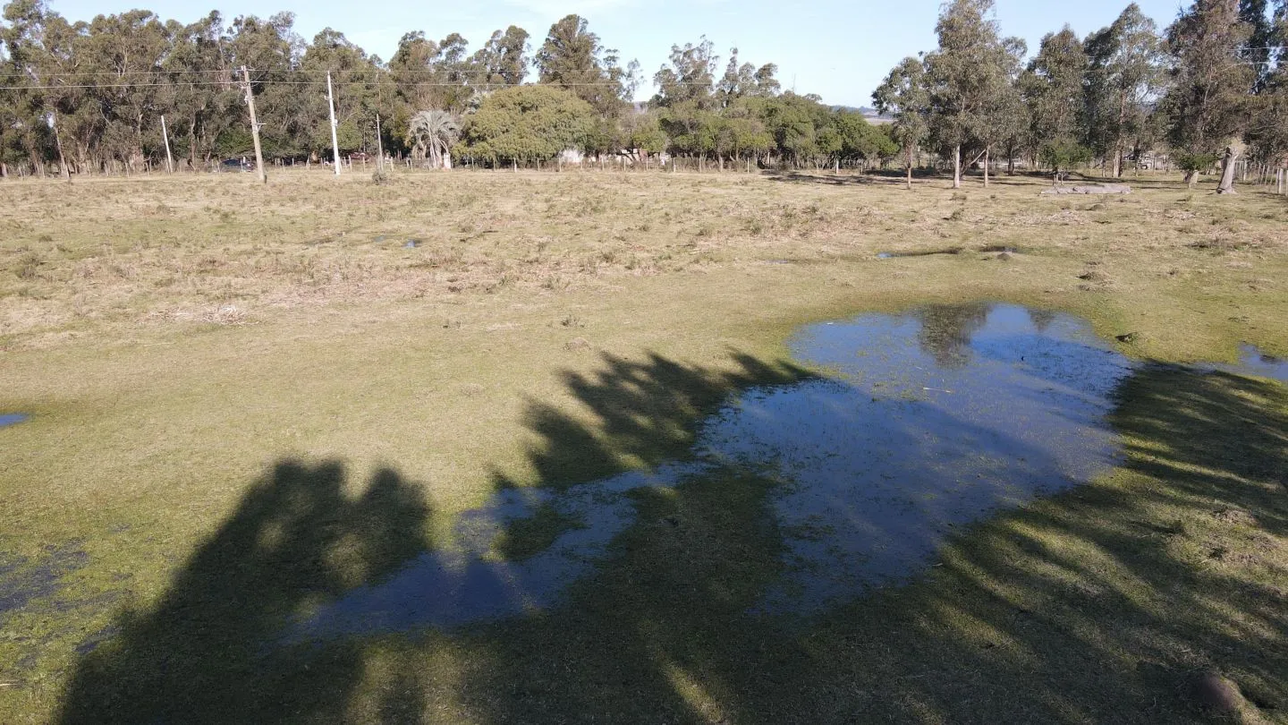 Chacra de 6ha en Punta Ballena — foto 11