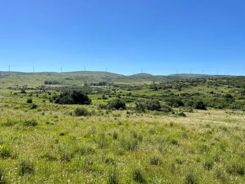 Chacra de 11ha con arroyo en Las Sierras de Maldonado — foto 2
