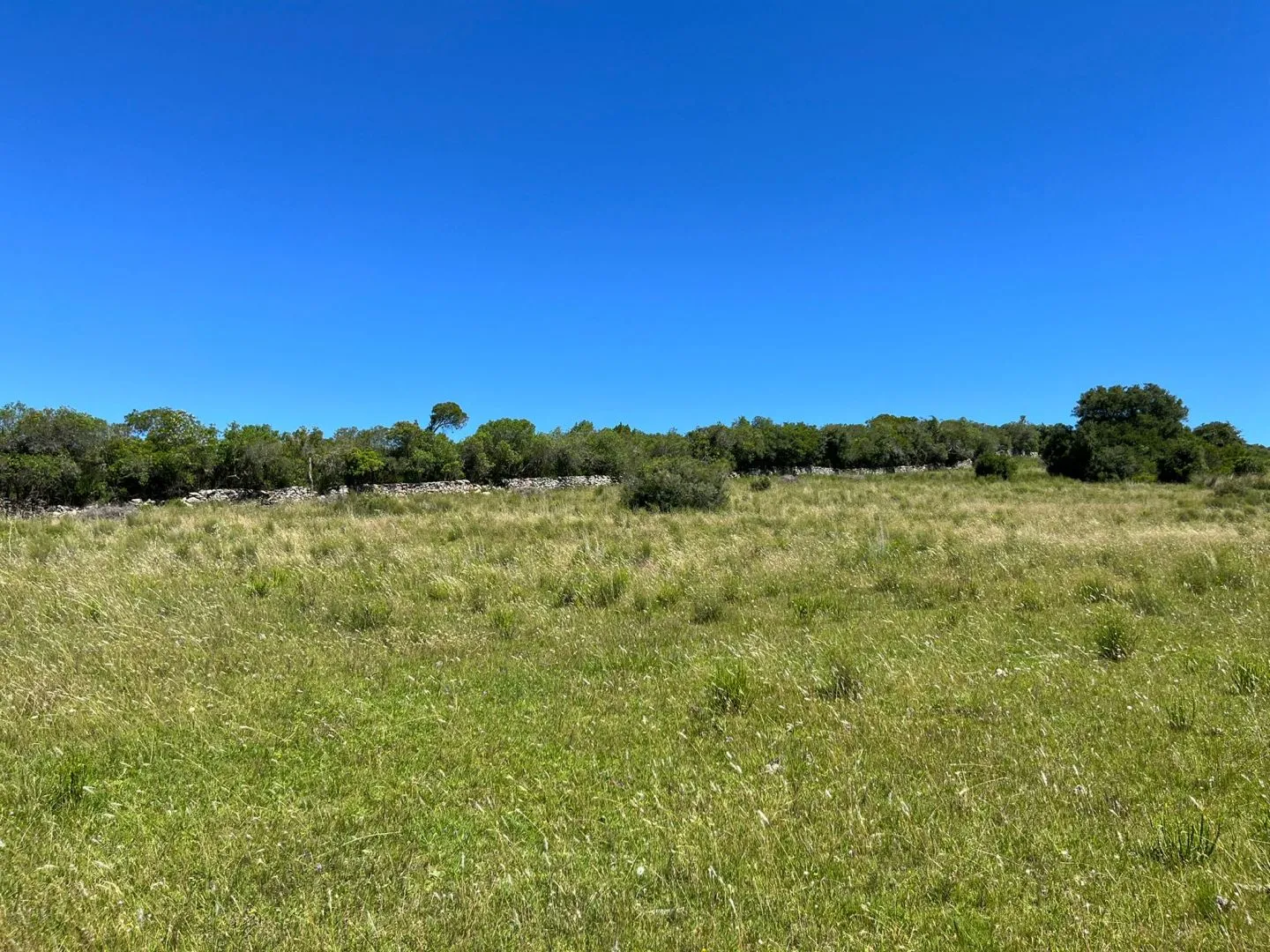 Chacra de 11ha con arroyo en Las Sierras de Maldonado — foto 4