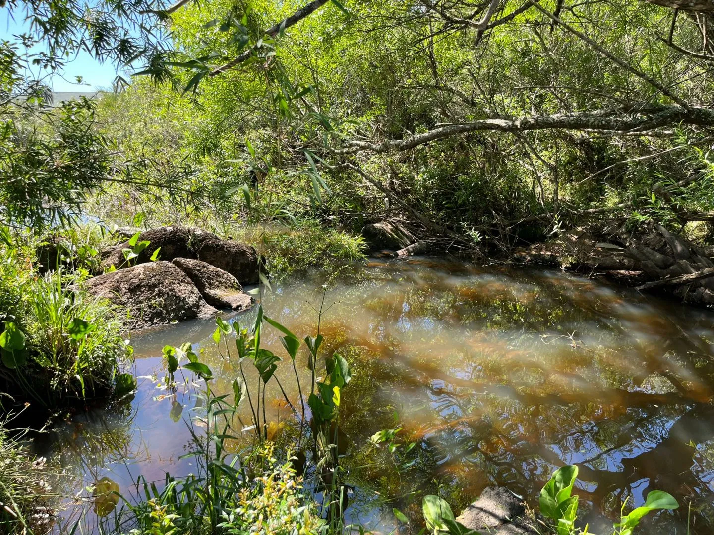 Chacra de 11ha con arroyo en Las Sierras de Maldonado — foto 5