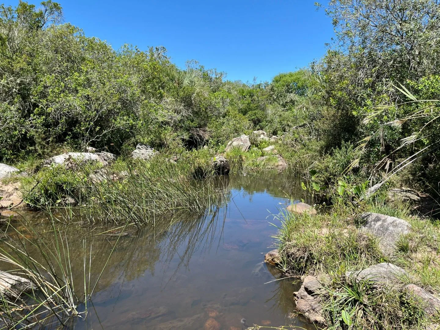 Chacra de 11ha con arroyo en Las Sierras de Maldonado — foto 6