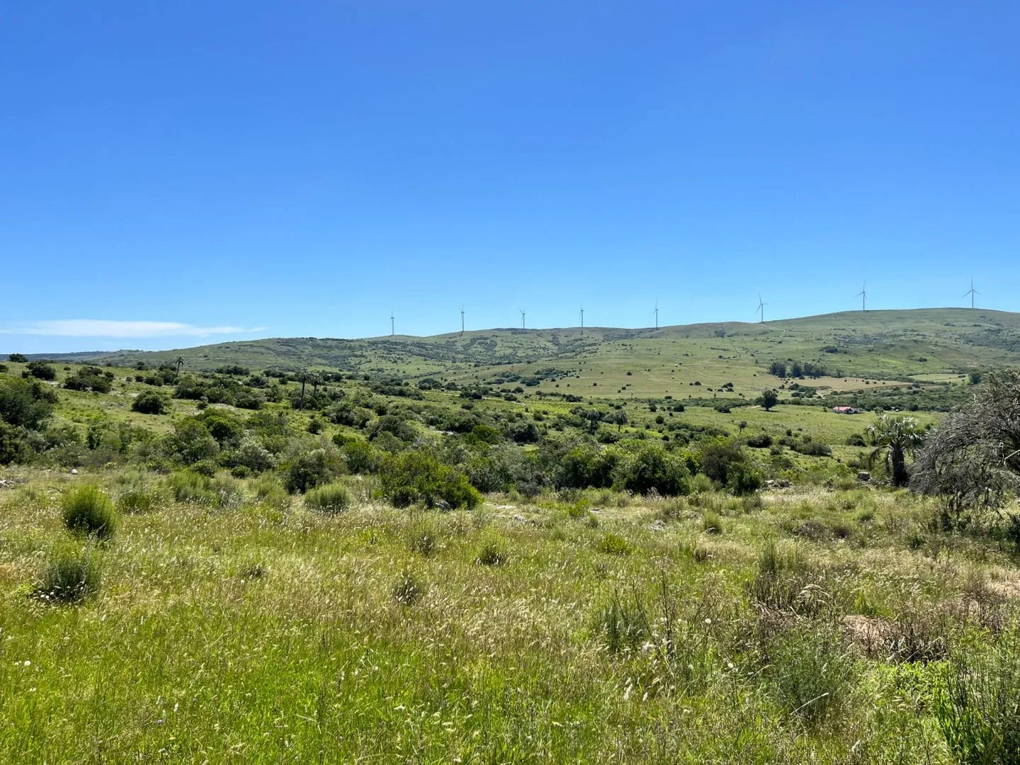 Chacra de 11ha con arroyo en Las Sierras de Maldonado — foto 7