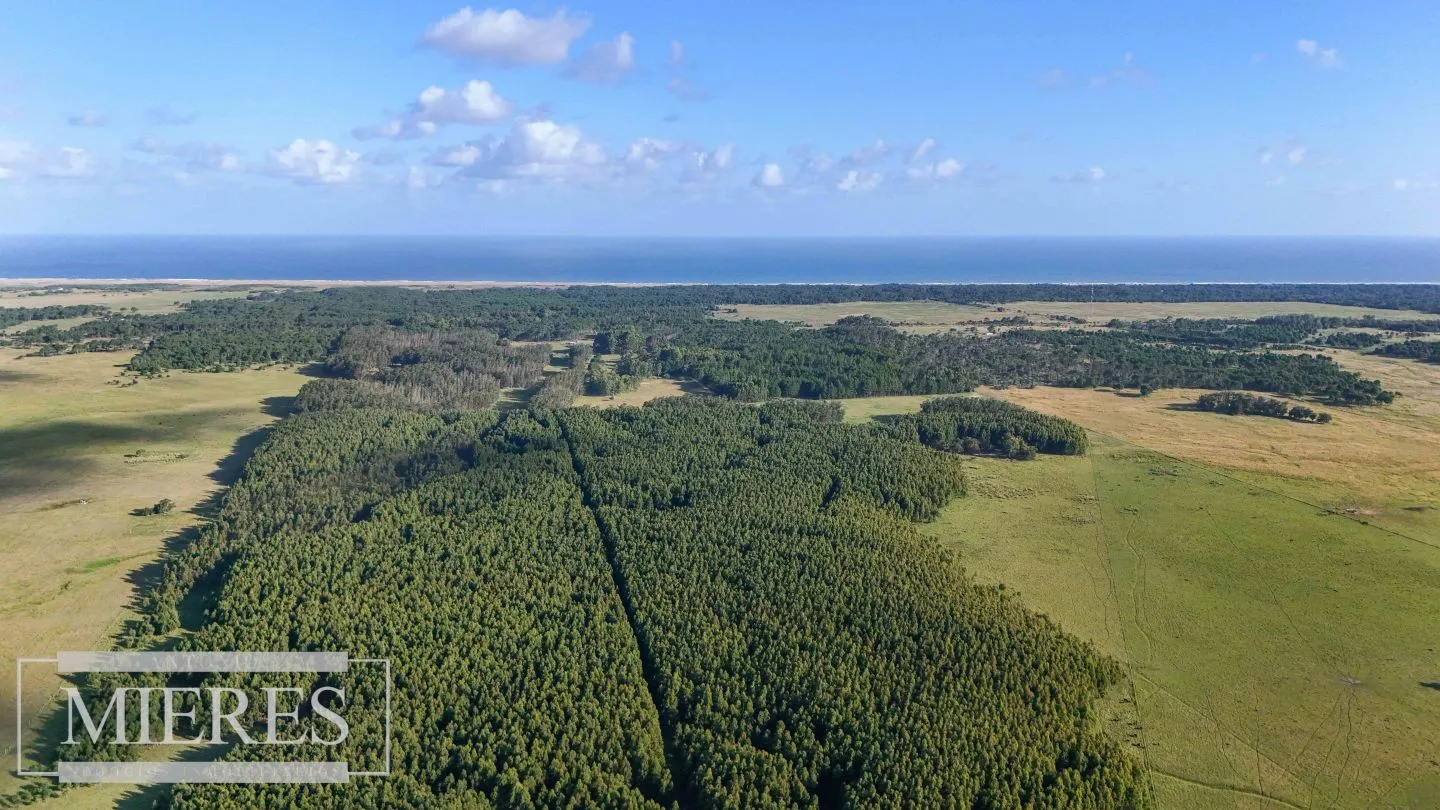 Chacra / Campo 2.126 ha en Rocha — foto 4