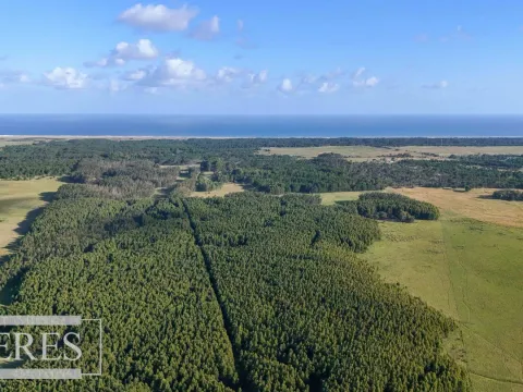 Chacra / Campo 2.126 ha en Rocha — foto 4