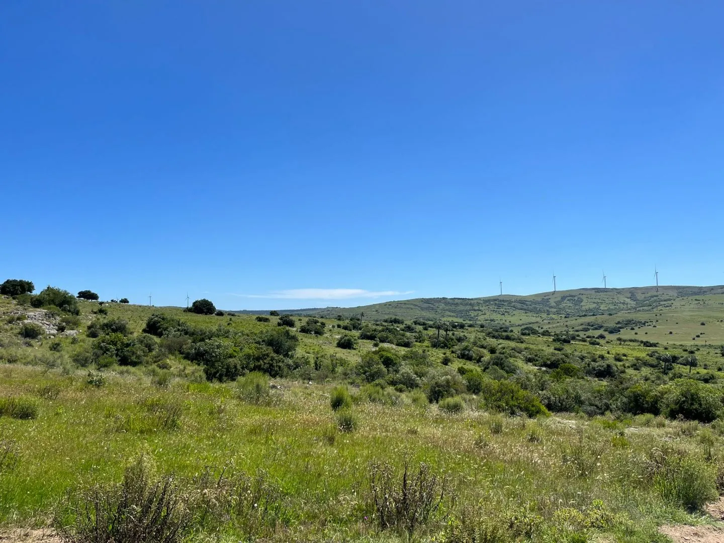 Chacra de 11ha con arroyo en Las Sierras de Maldonado — foto 8