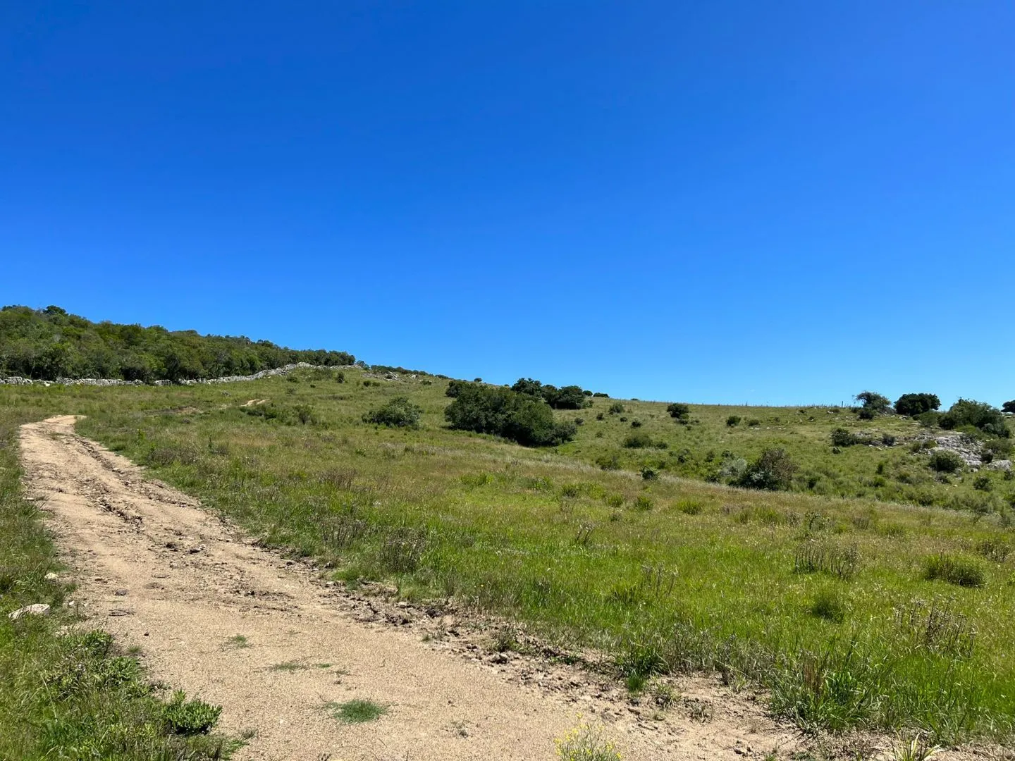 Chacra de 11ha con arroyo en Las Sierras de Maldonado — foto 9