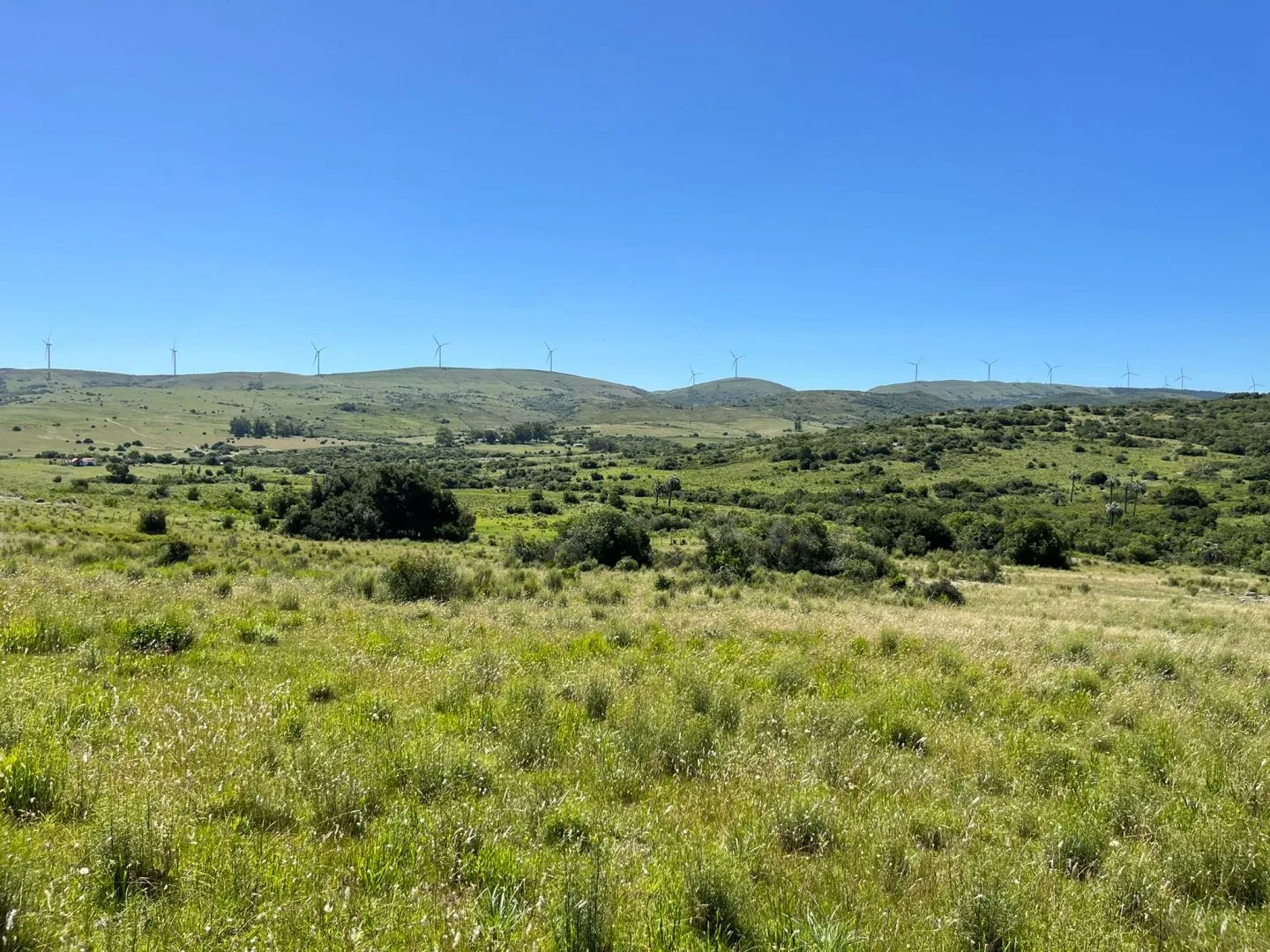 Chacra de 11ha con arroyo en Las Sierras de Maldonado — foto 12