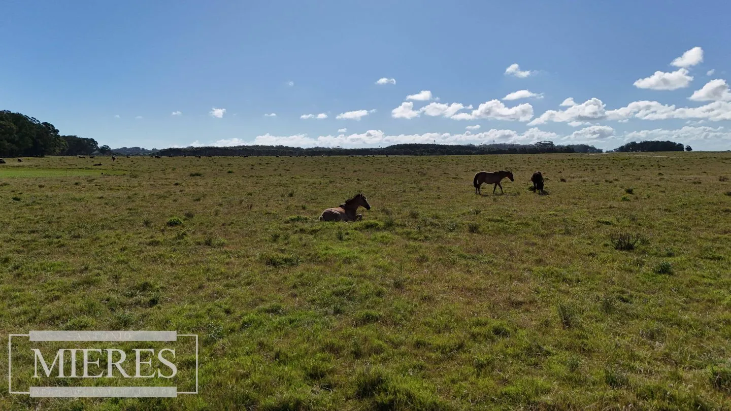 Chacra en La Rinconada a 5' de Jose Ignacio — foto 5