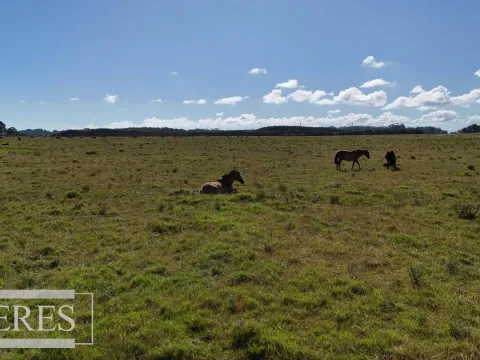 Chacra en La Rinconada a 5' de Jose Ignacio — foto 5