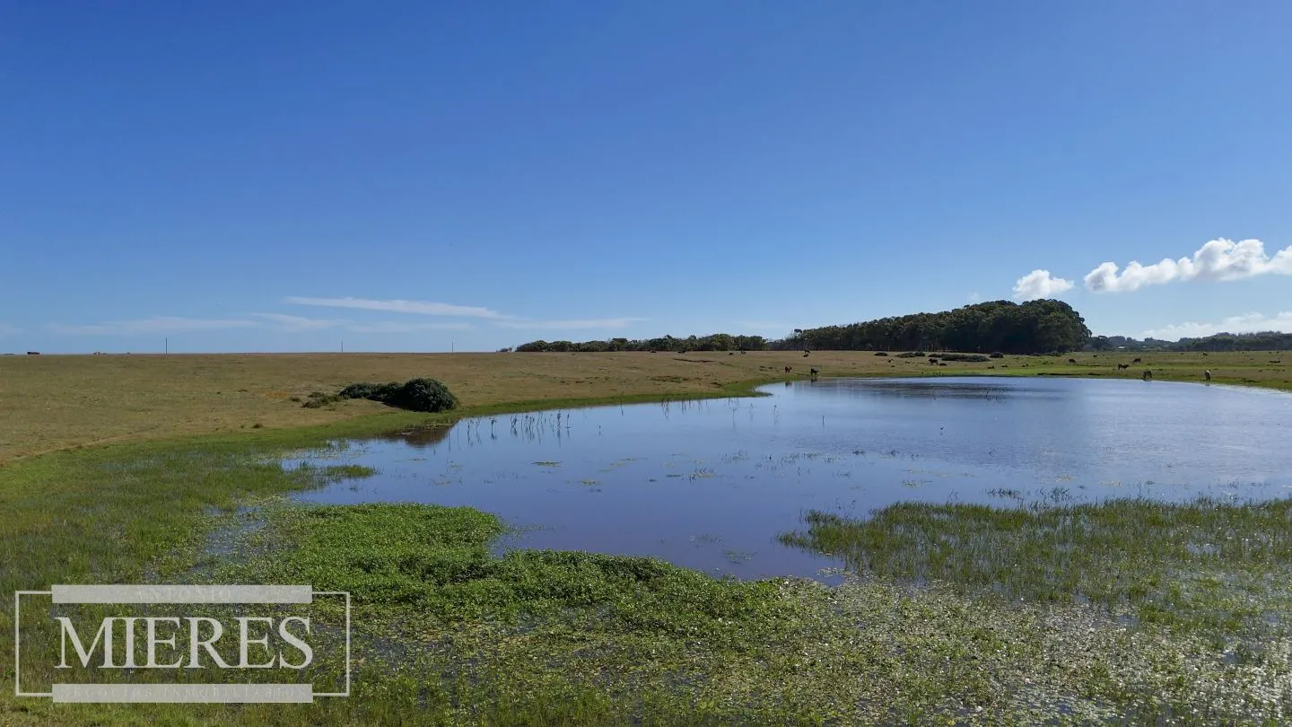 Chacra en La Rinconada a 5' de Jose Ignacio — foto 6