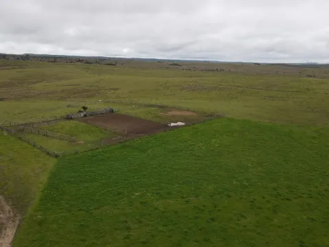 Campo Ganadero en Rocha 350ha — foto 4