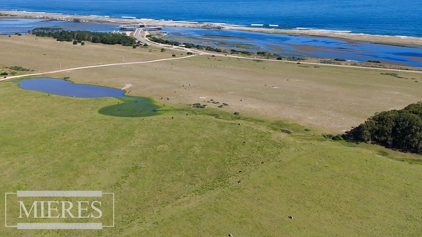 Chacra en La Rinconada a 5' de Jose Ignacio — foto 16