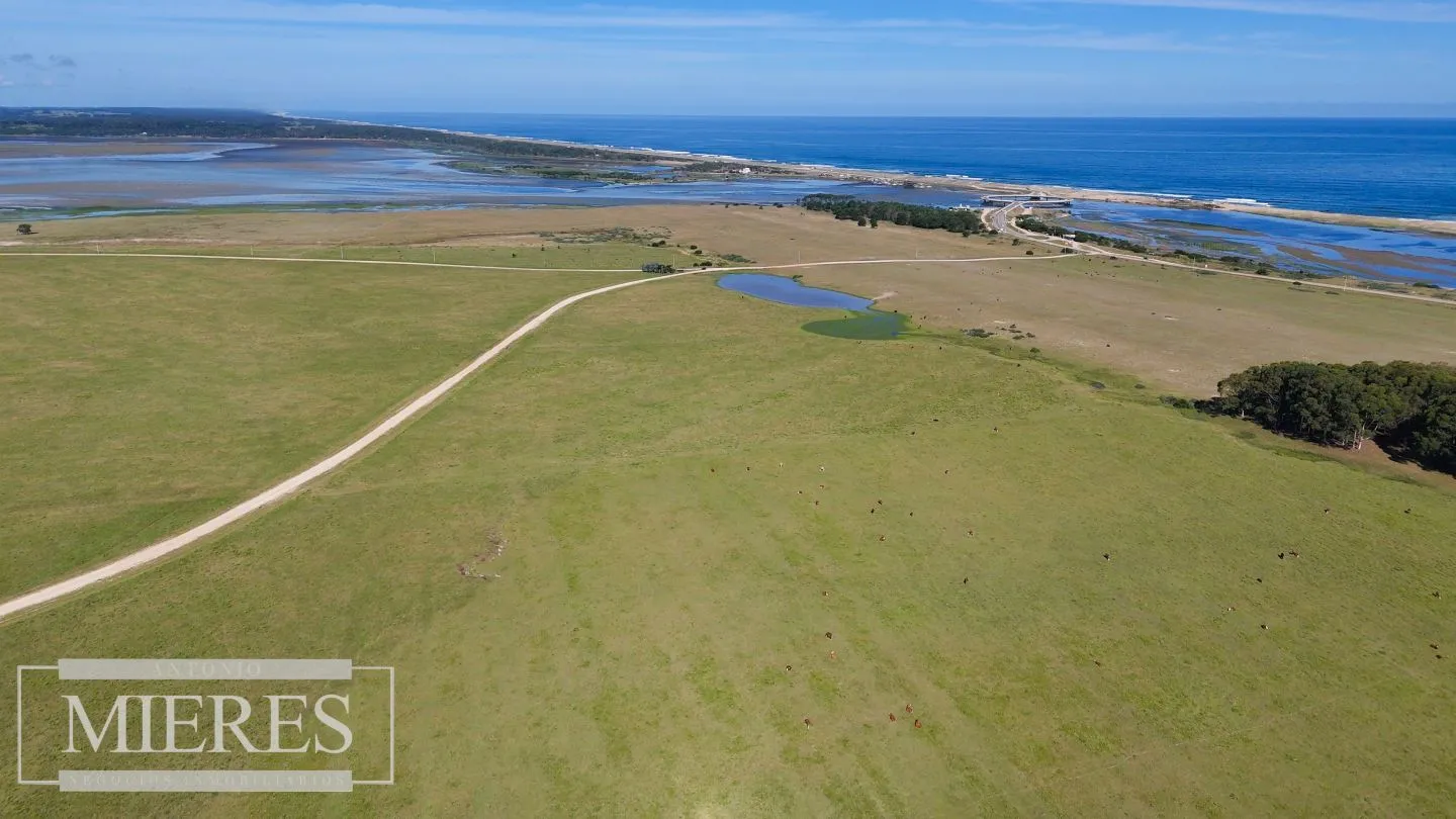 Chacra en La Rinconada a 5' de Jose Ignacio — foto 17