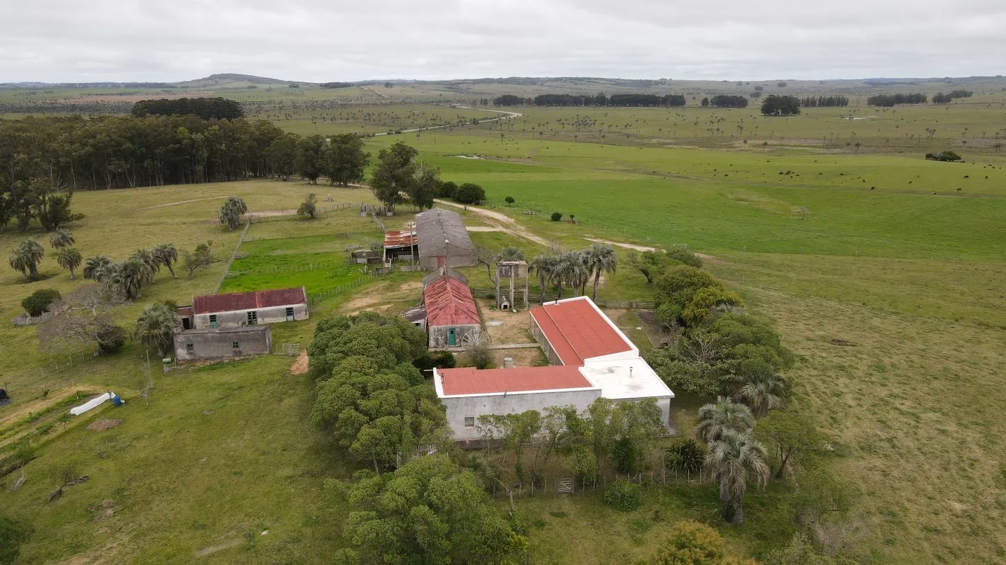 Campo Ganadero en Rocha 350ha — foto 6