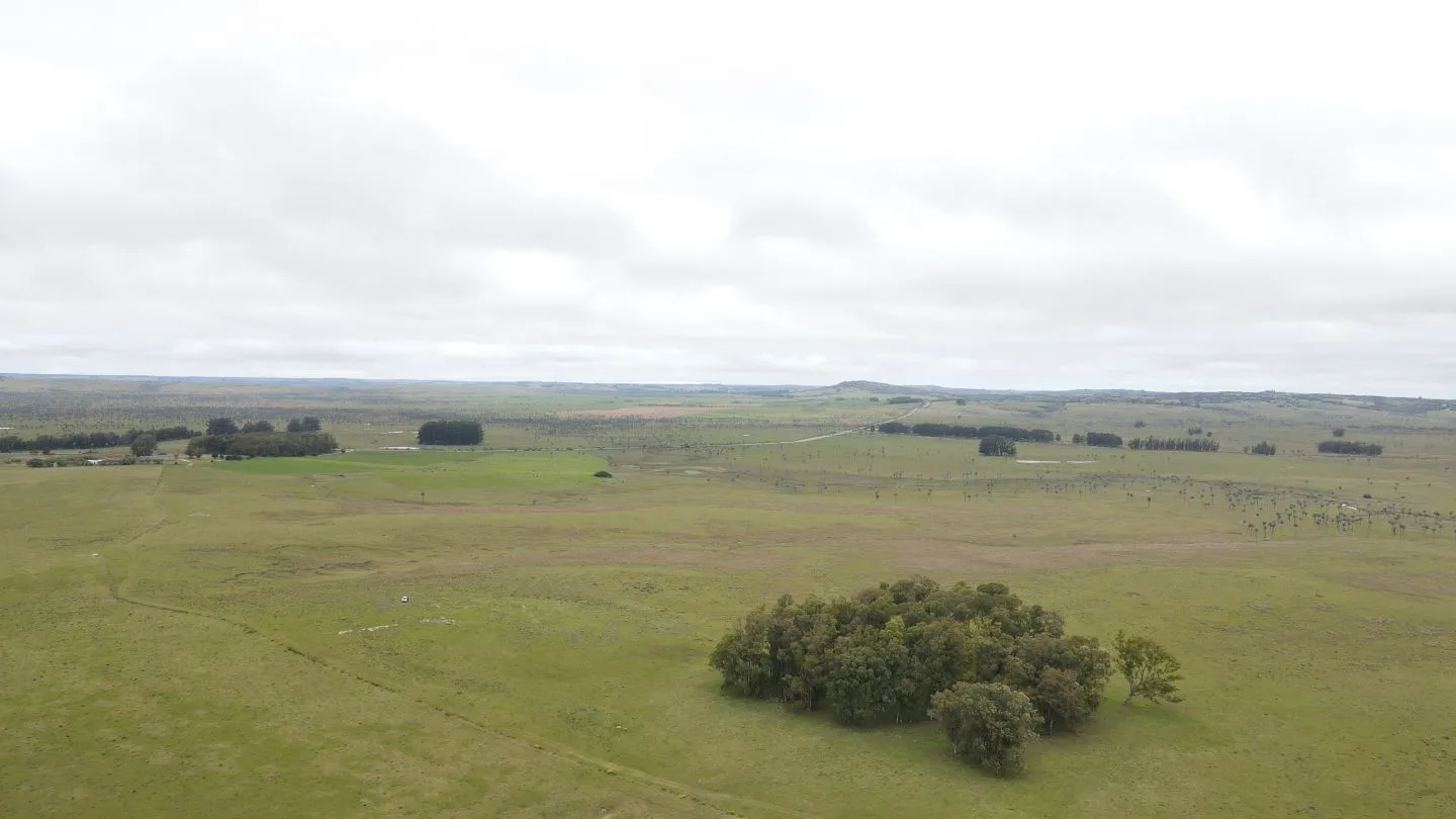 Campo Ganadero en Rocha 350ha — foto 8