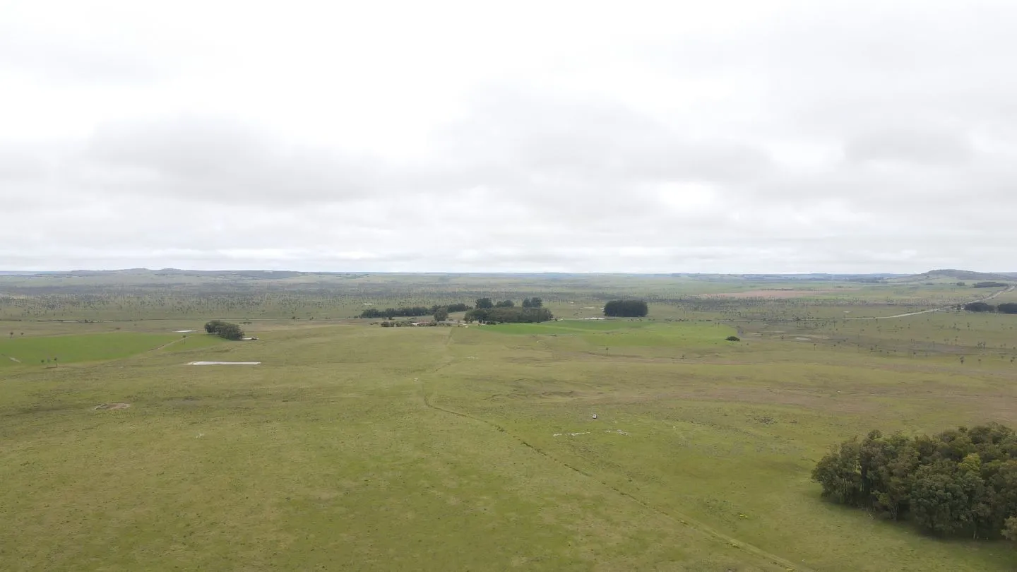 Campo Ganadero en Rocha 350ha — foto 10