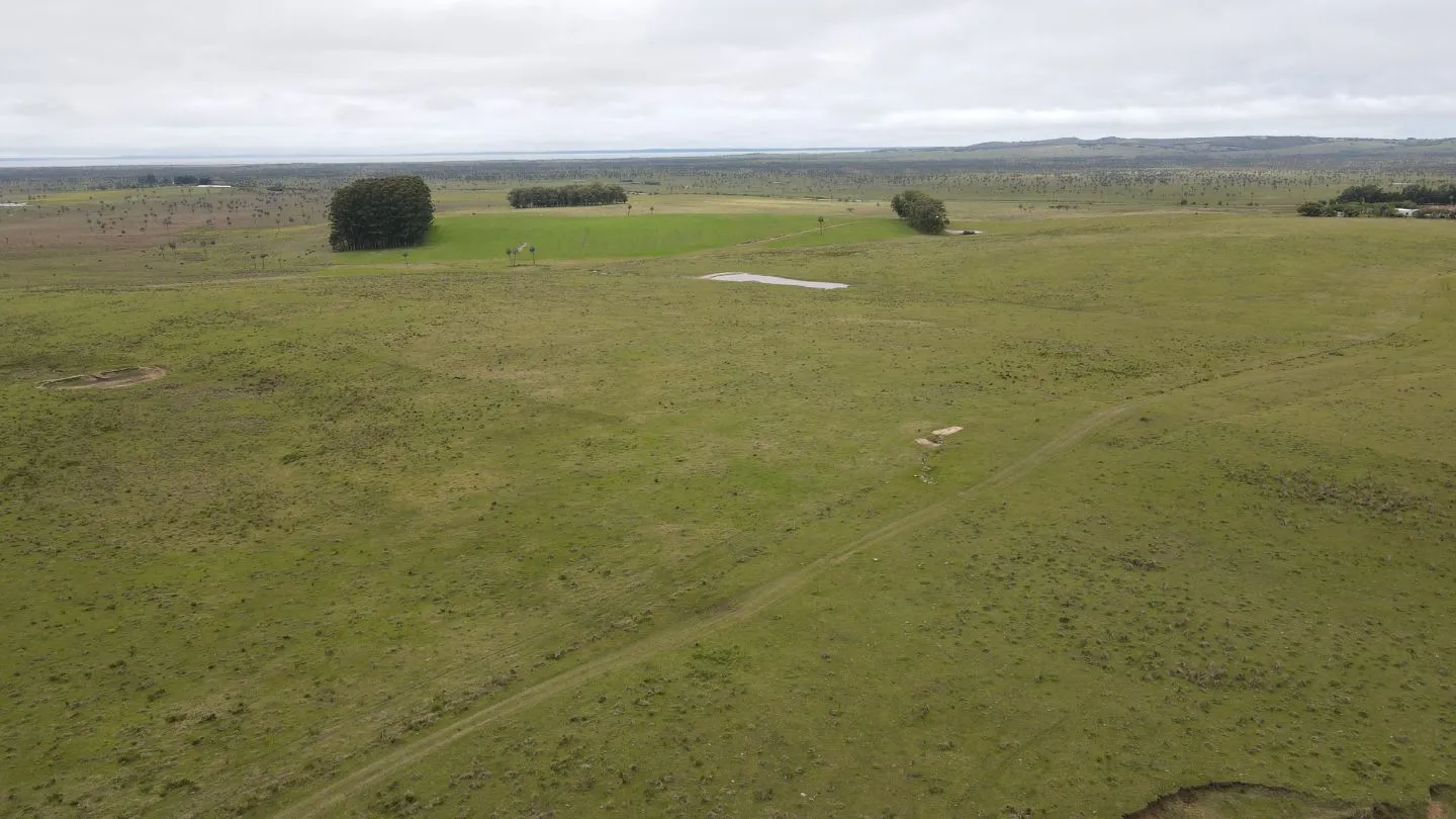 Campo Ganadero en Rocha 350ha — foto 11