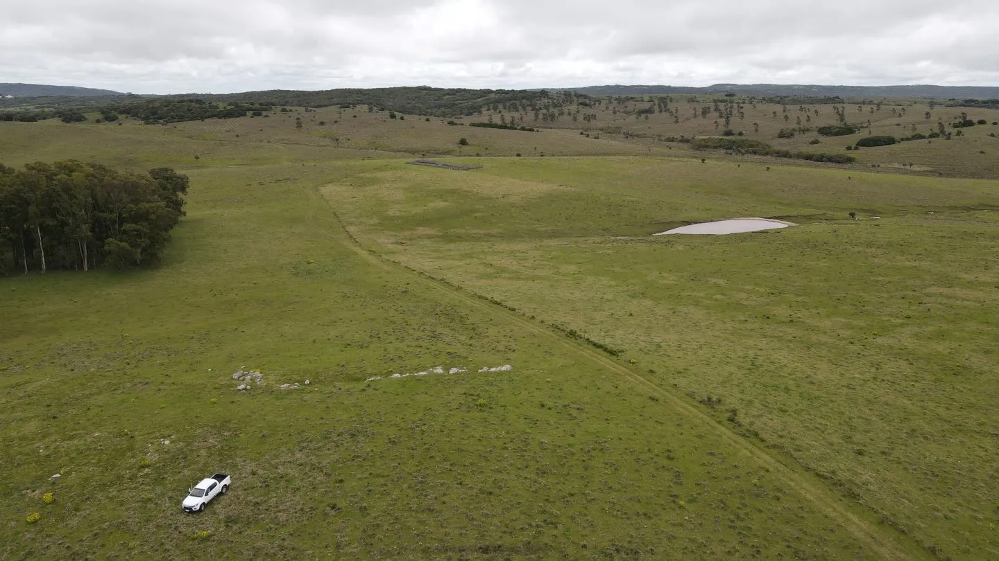Campo Ganadero en Rocha 350ha — foto 12
