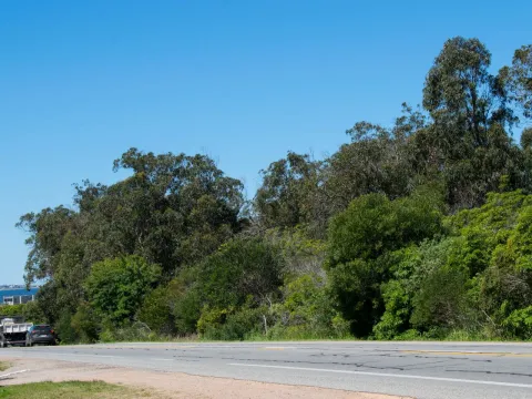 Terreno en José Ignacio — foto 3