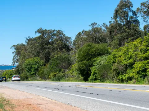 Terreno en José Ignacio — foto 4