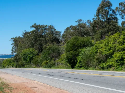 Terreno en José Ignacio — foto 5