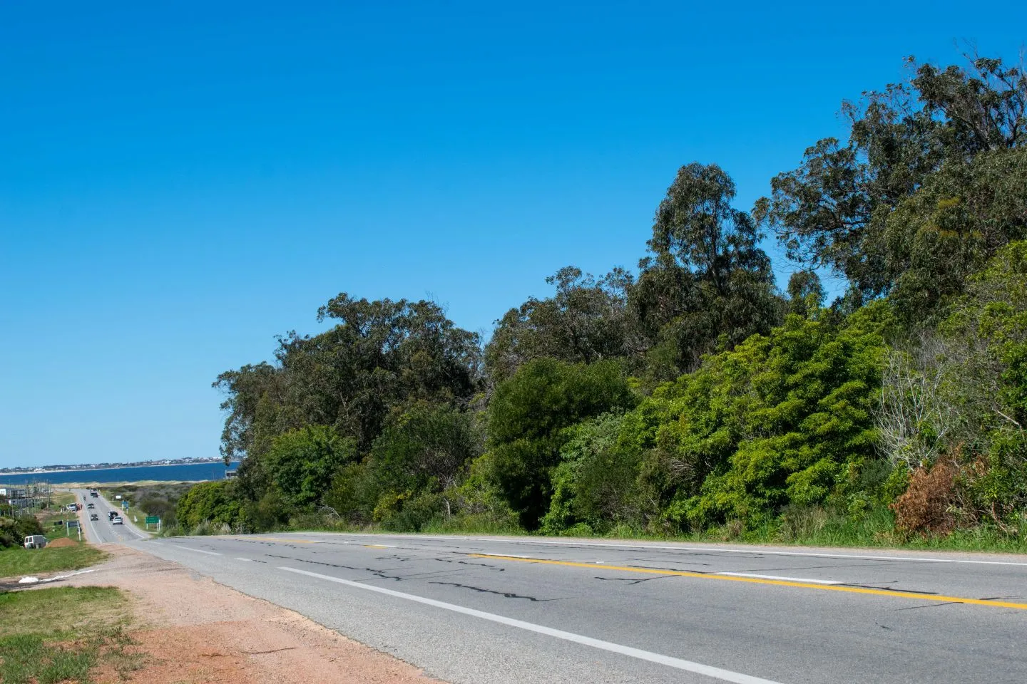 Terreno en José Ignacio — foto 6