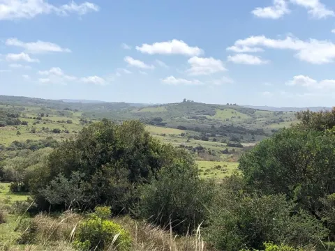 Vebta de campo 60has a 5' de pueblo Garzon — foto 3