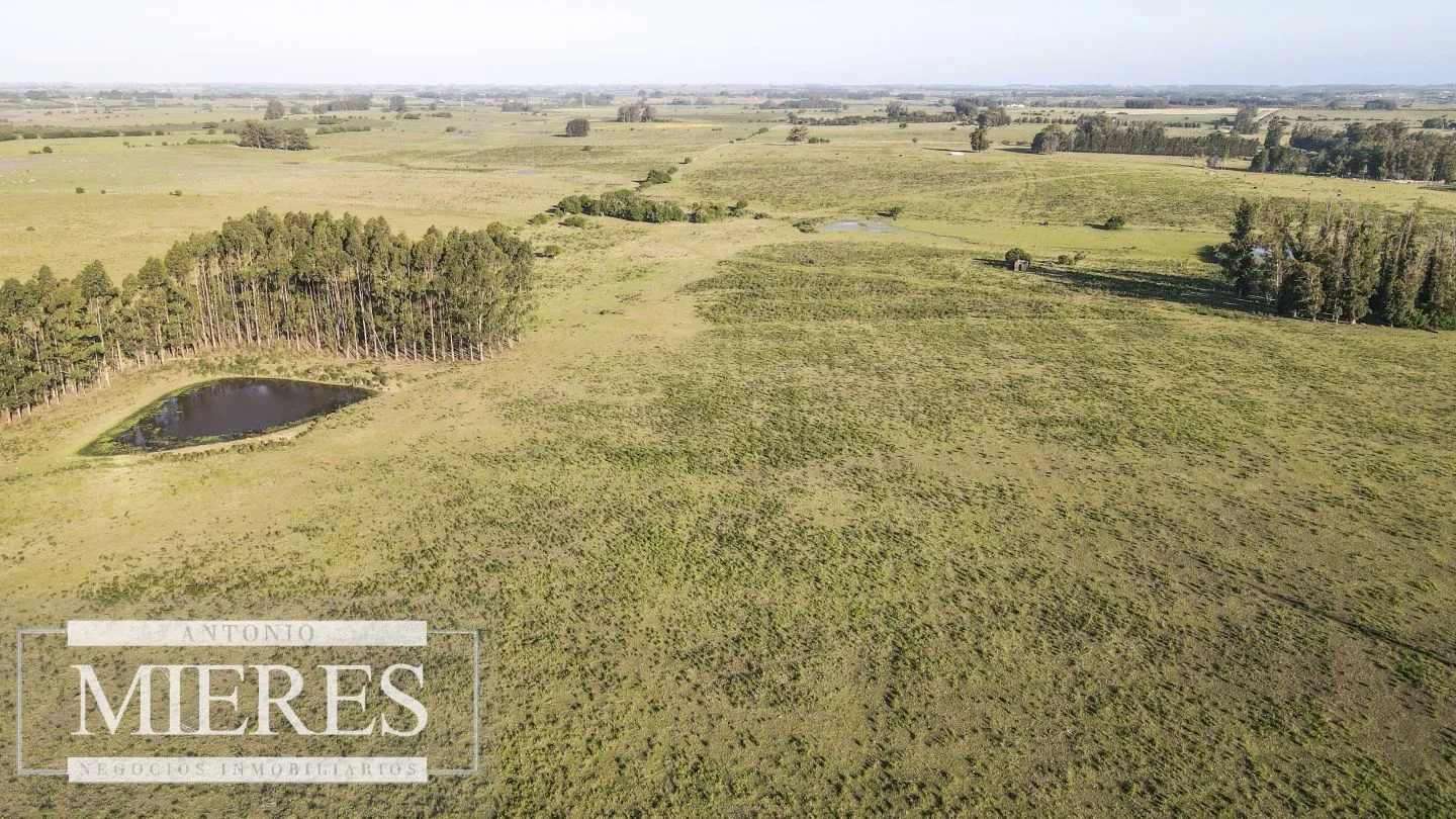 Establecimiento completo de 92ha en Maldonado, Punta del Est — foto 9