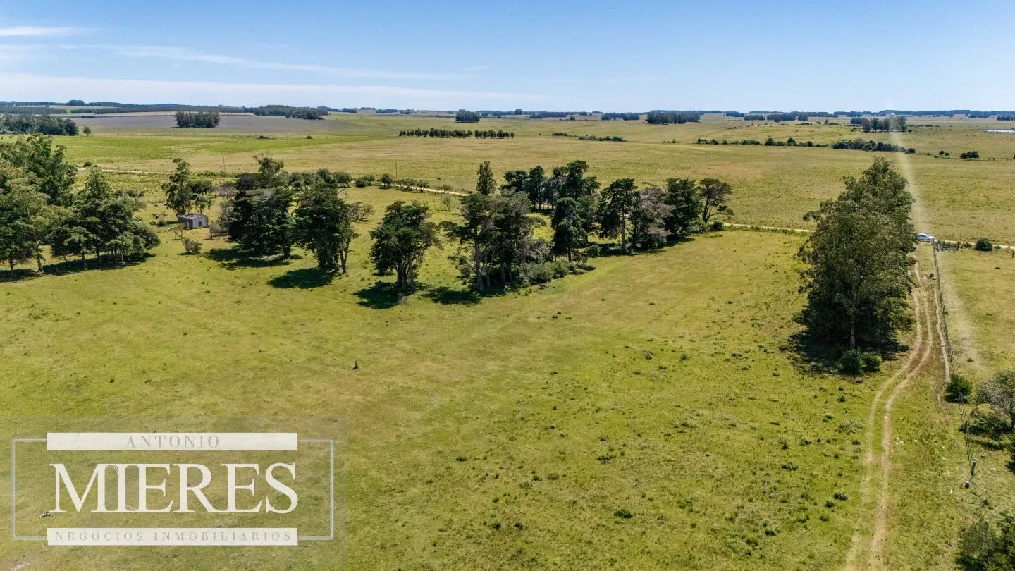 Chacra de 8ha Rocha José Ignacio — foto 2
