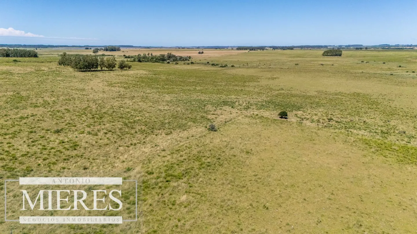 Chacra de 8ha Rocha José Ignacio — foto 5