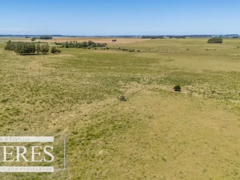 Chacra de 8ha Rocha José Ignacio — foto 5