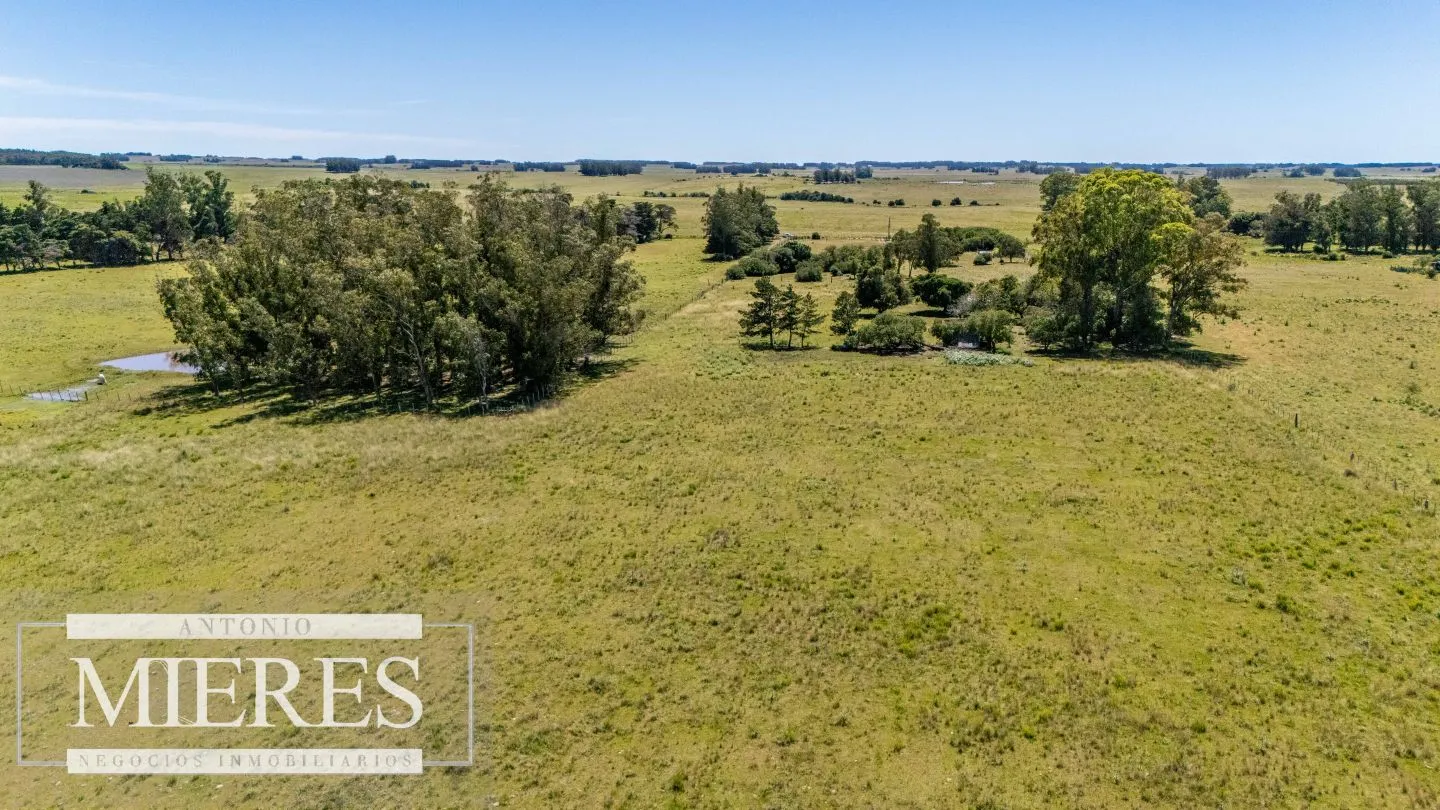 Chacra de 8ha Rocha José Ignacio — foto 6