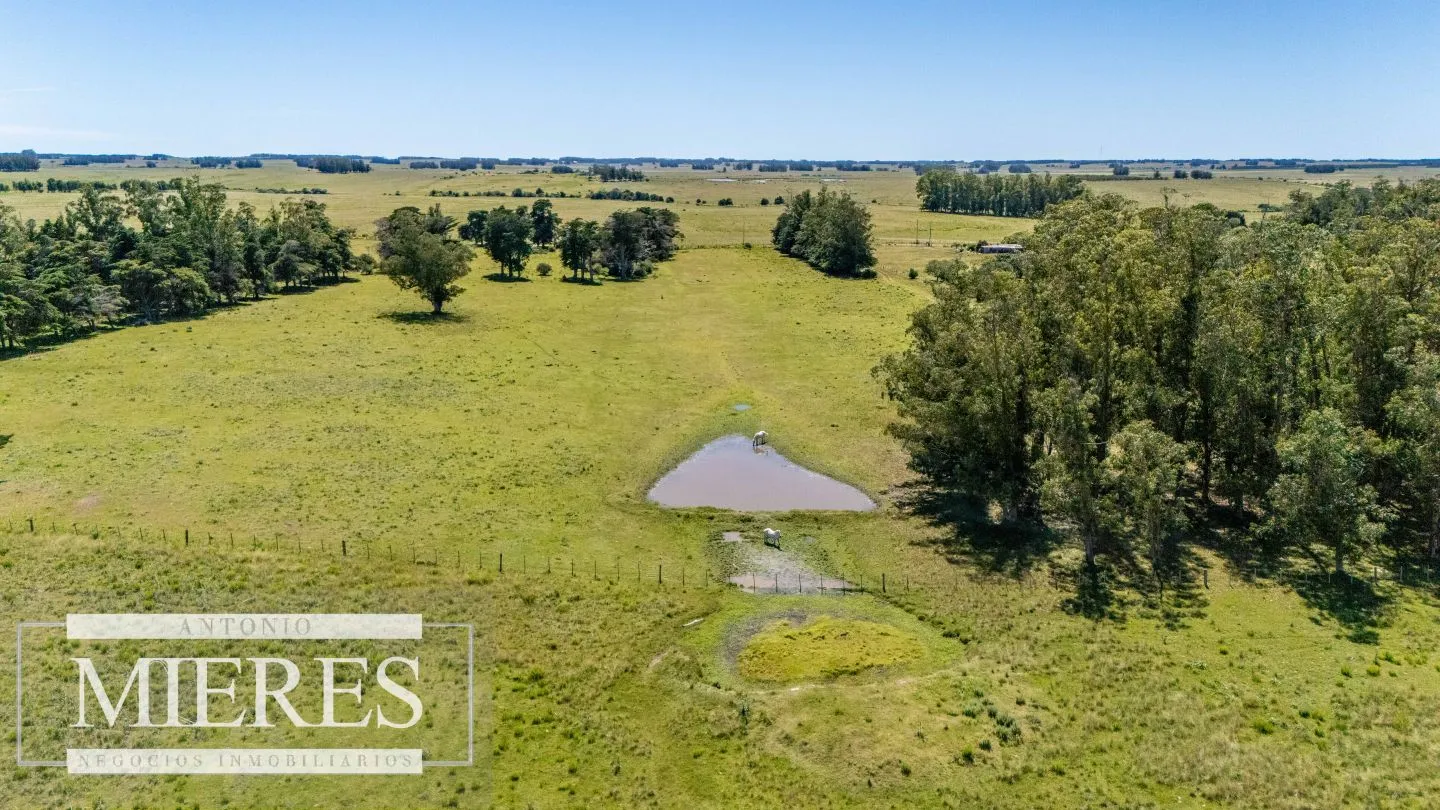 Chacra de 8ha Rocha José Ignacio — foto 7