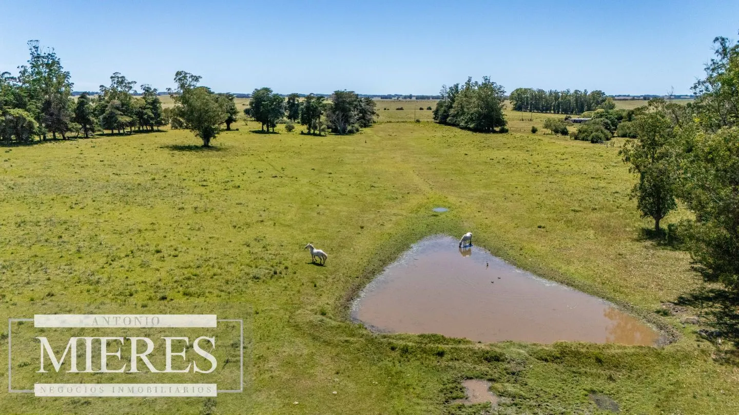 Chacra de 8ha Rocha José Ignacio — foto 8