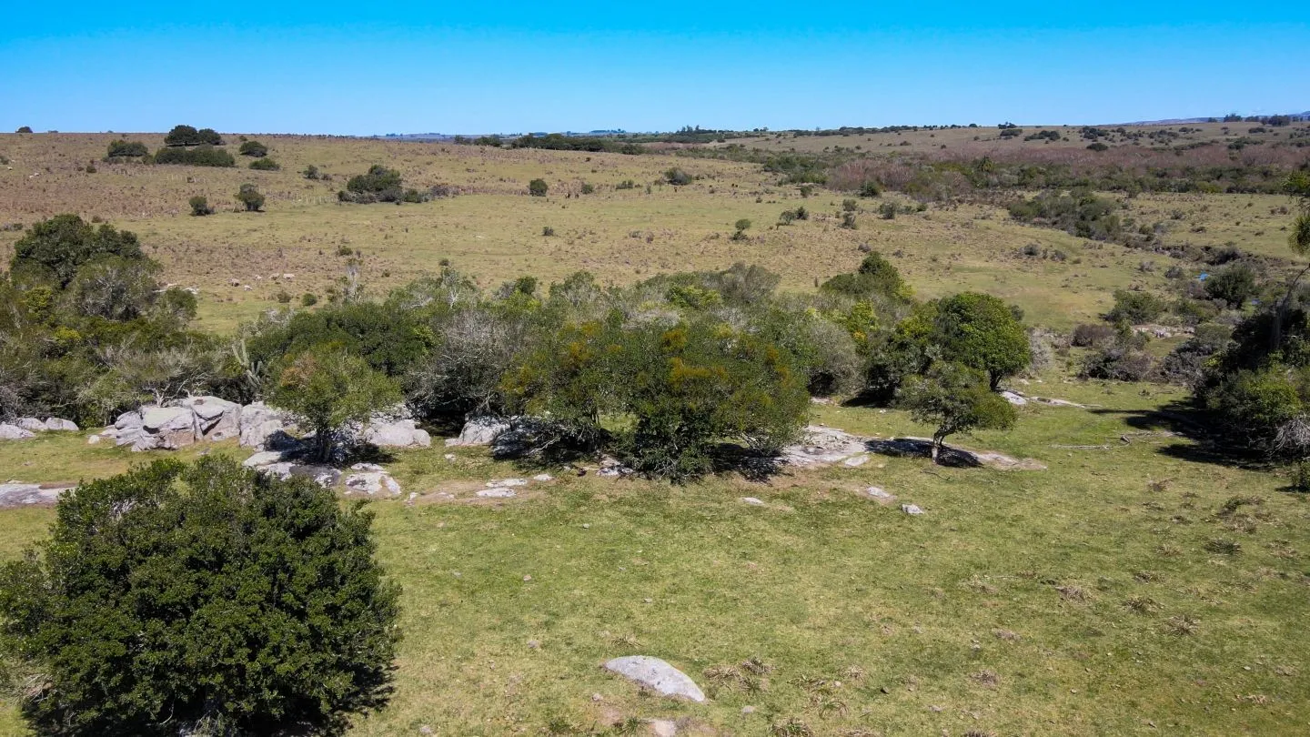 Fantastico Campo en las cercanias de Pueblo Garzon — foto 1