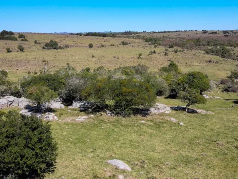 Fantastico Campo en las cercanias de Pueblo Garzon