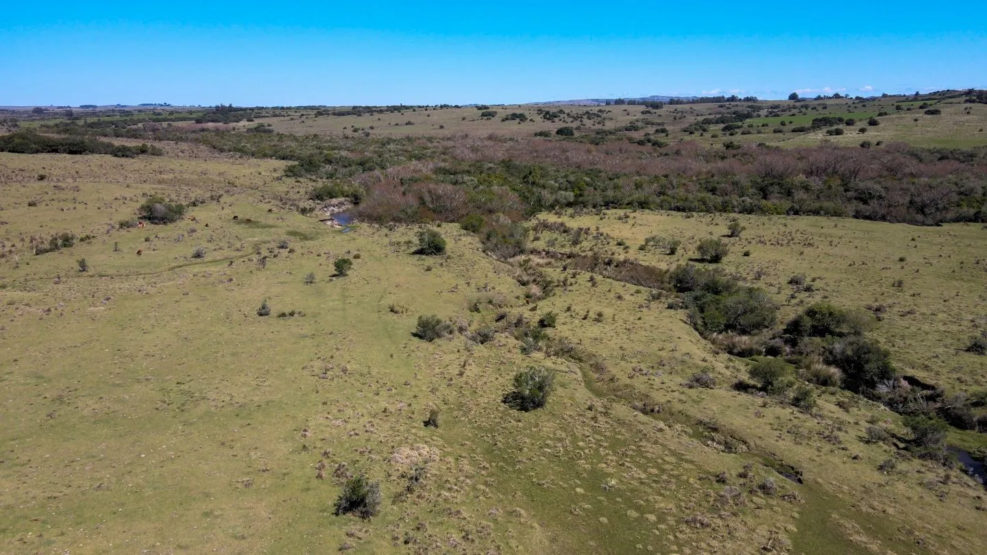 Fantastico Campo en las cercanias de Pueblo Garzon — foto 2