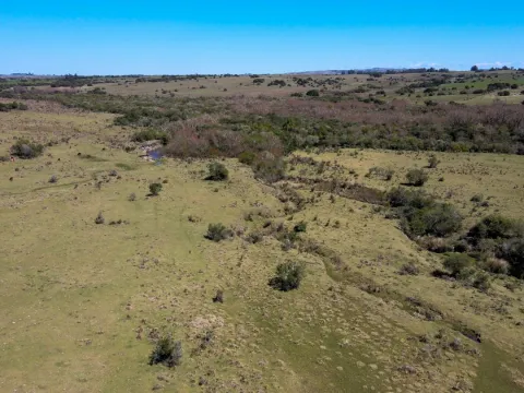 Fantastico Campo en las cercanias de Pueblo Garzon — foto 2