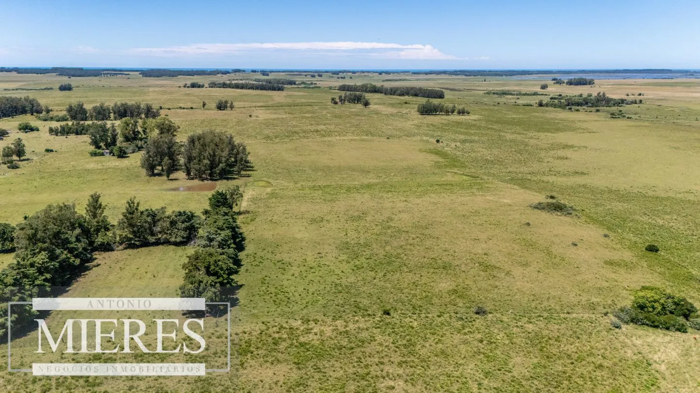 Chacra de 8ha Rocha José Ignacio — foto 10