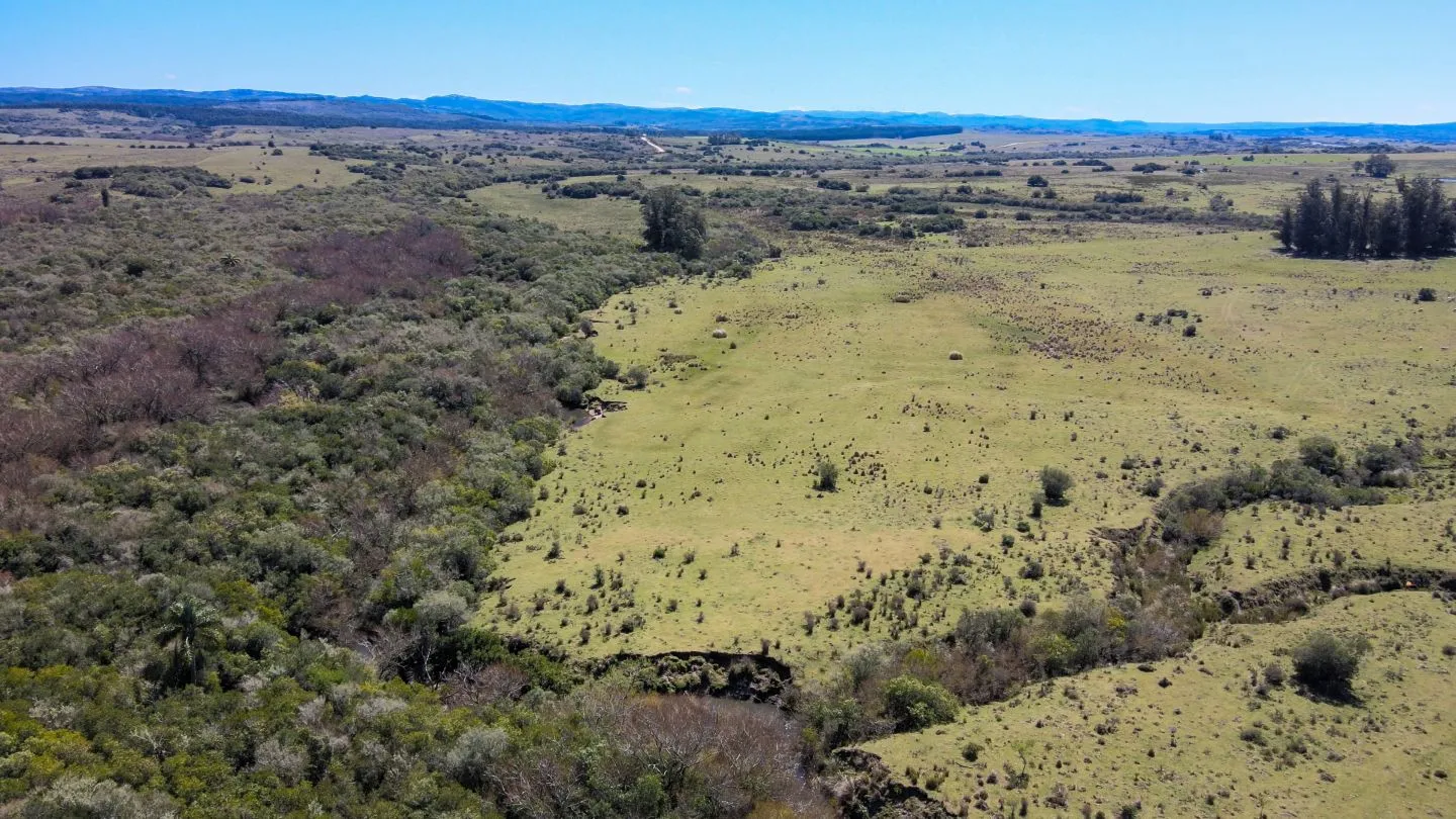 Fantastico Campo en las cercanias de Pueblo Garzon — foto 3