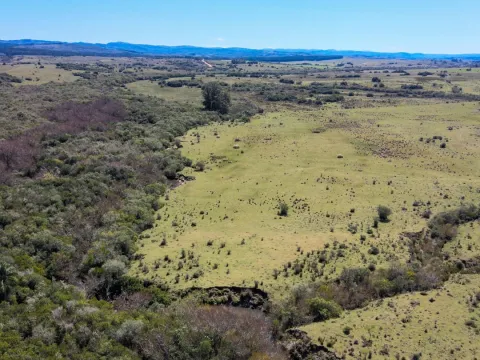 Fantastico Campo en las cercanias de Pueblo Garzon — foto 3
