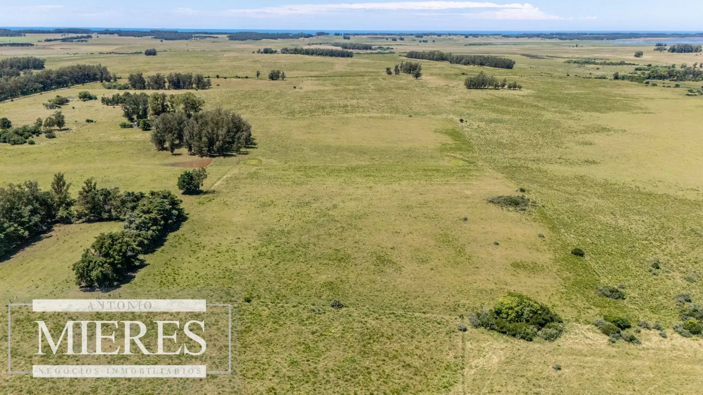 Chacra de 8ha Rocha José Ignacio — foto 11