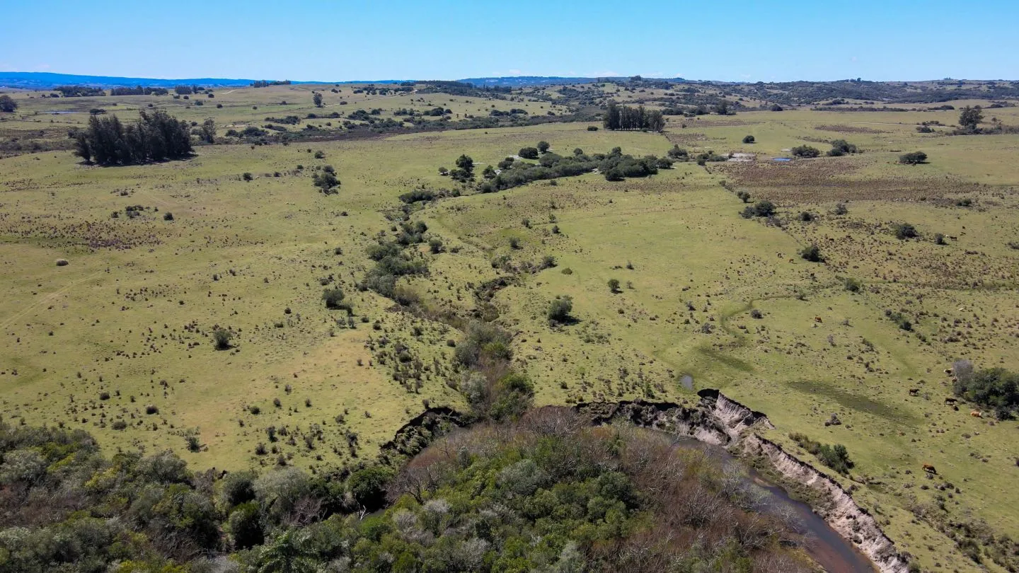 Fantastico Campo en las cercanias de Pueblo Garzon — foto 4