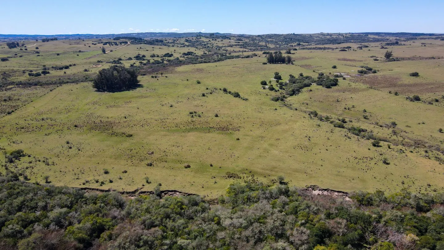Fantastico Campo en las cercanias de Pueblo Garzon — foto 5