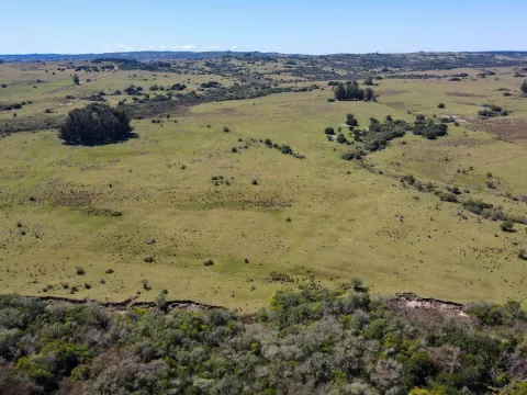 Fantastico Campo en las cercanias de Pueblo Garzon — foto 5